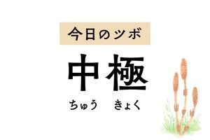 頻尿、尿漏れ、排尿痛を改善する「中極」。月経不順、おりものの異常にも作用します