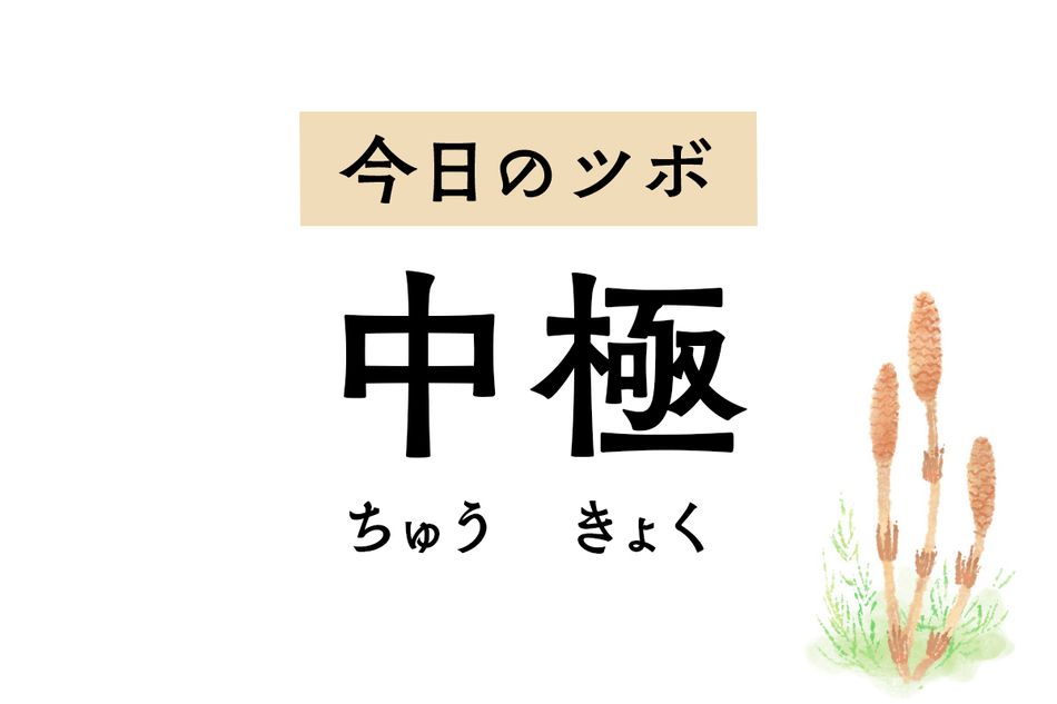 頻尿、尿漏れ、排尿痛を改善する「中極」。月経不順、おりものの異常にも作用します