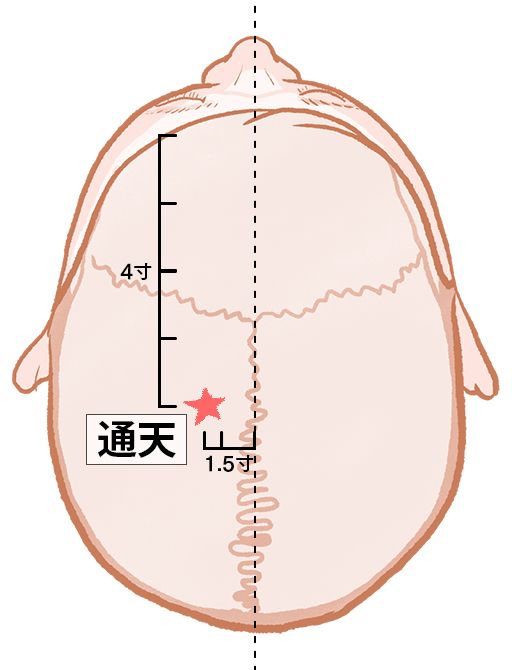 通天（つうてん）：膀胱経のツボ
