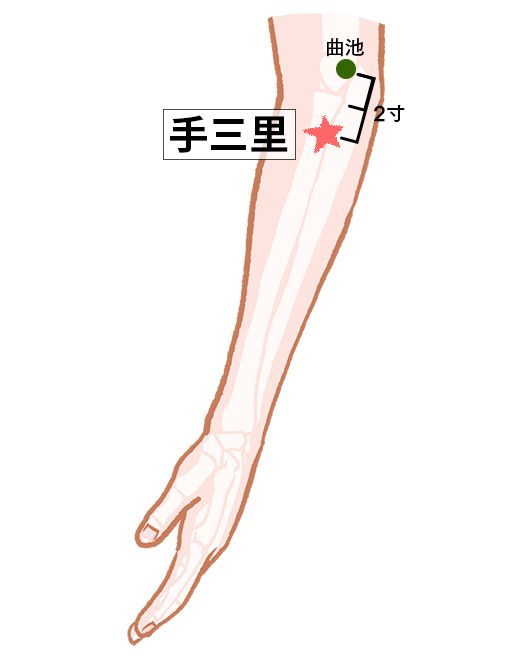手三里（てさんり）：大腸経のツボ