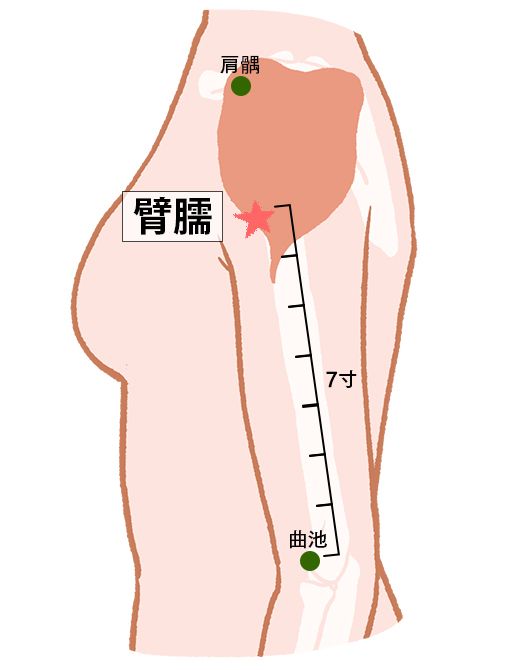 臂臑（ひじゅ）：大腸経のツボ