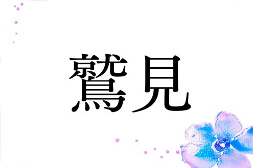 初見では読みづらい名字「鷲見」。ルーツは鷲も関係しています
