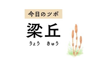 「梁丘」は急な胃痛や乳腺炎のお助けツボ。膝の腫れや痛みを抑える働きもあります