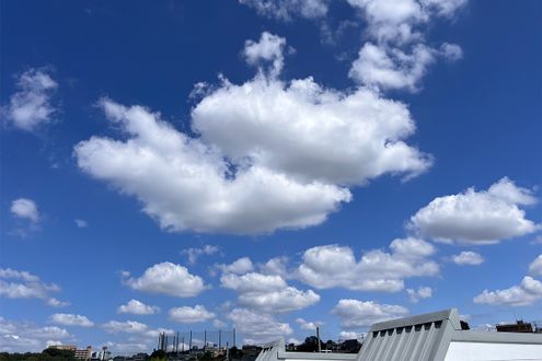日本の文豪たちが描いた「積雲」。春の気配を感じる綿のような雲です