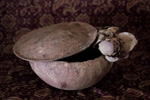 【Masayo’s Style】料理家・三枝政代さんが綴る「 暮らしの遊び心」3月～白鳳の土～