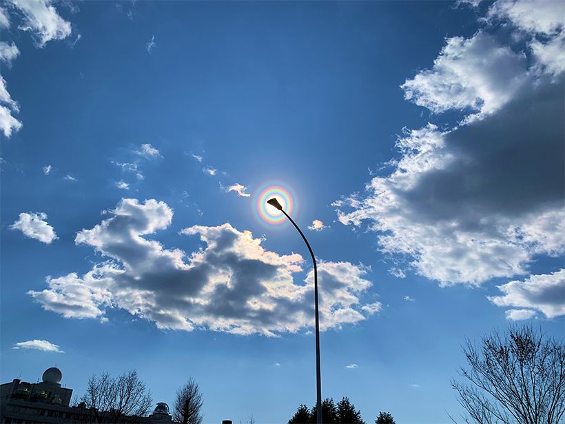 写真／荒木健太郎