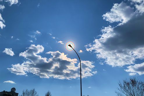 太陽の周りに現れる虹色の輪「花粉光環」。安全に観察するコツ