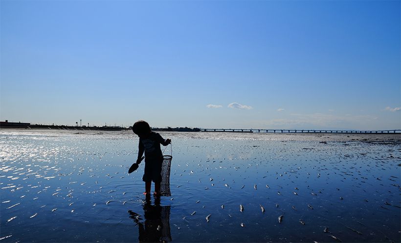 写真／フォトライブラリー