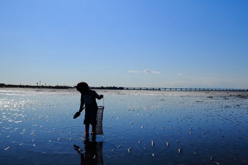 春は潮干狩りのベストシーズン！ 春がベストなのはなぜ？