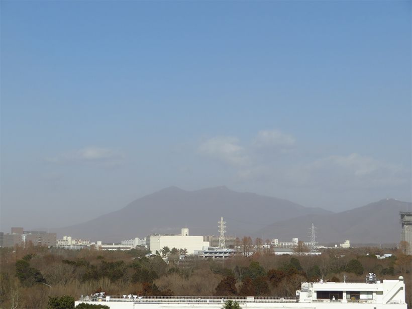 写真／荒木健太郎