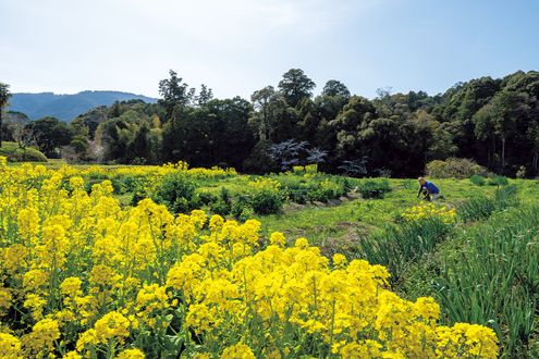 今森光彦さん「いきものと歩む“環境農家”の愉しみ」第12回　新しい視点