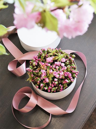 SNSで「桜箱」として紹介して以来、この時期になるとオーダーをいただきます。これはお孫さんの社会人としてのスタートを祝う桜箱で、サクラの‘普賢象’と‘紅華’をミックスしました。花箱が到着したときにちょうど花が開き始めるように、ほどよい膨らみ具合の蕾を選んで挿しています。‘普賢象’は室町時代から知られている古いサトザクラで淡いピンクがとても上品。‘紅華’は紅華桜ともよばれ、濃淡のピンクが華やかな八重咲きの品種です。桜箱はすべて直径20cmのボックスを使用します。