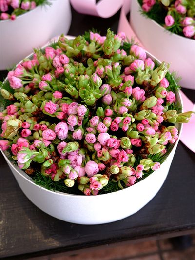 桜箱を気に入ってくださり、毎年この時期にご友人たちに贈られるお客様がいらっしゃいます。この年は八重咲きの大きな花が華やかな‘関山’と牡丹桜で制作しました。‘関山’は、大阪の造幣局のサクラの通り抜けに多く植えられている品種です。2種ともボリューム感のある八重咲きなので、開き初めから満開までの変化を楽しんでいただけると思います。直径20cmのボックスを使用。