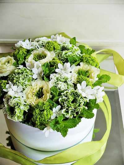 お友達の誕生日のお祝いに、白×グリーンのフレッシュな花箱をプレゼント。白はバラ‘グリーンハート’とオキシペタラム‘マーブルホワイト’。グリーンはラナンキュラス‘ポンポン イグルー’とビバーナム・スノーボール。スペアミントとレモンゼラニウムを加えたので、ふたを開けるとさわやかな香りがふわっと漂います。直径20cmのボックスを使用。
