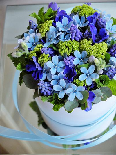 オキシペタラム‘ピュアブルー’、デルフィニウム‘ジャパンブルー’、ムスカリと春のブルーを集めた花箱です。直径15cmのボックスに詰めると、オキシペタラムの花が大きく見えるから不思議。スペアミント、ビバーナム・スノーボールのグリーンを添えてフレッシュ感いっぱいに仕上げました。