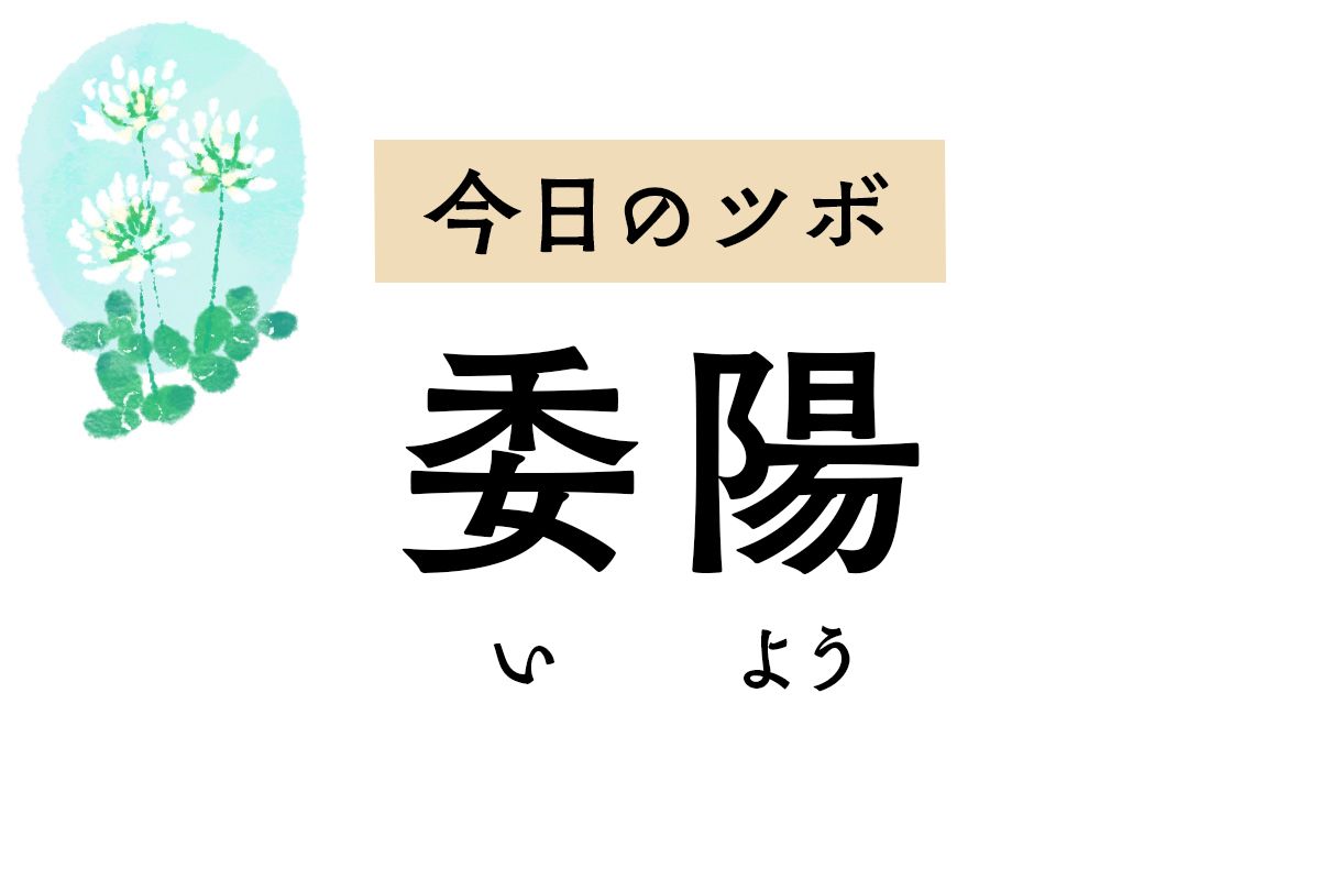 尿が出にくい、残尿感があるなど排尿障害に効く「委陽」。こむら返りにも使えます