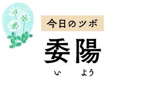 尿が出にくい、残尿感があるなど排尿障害に効く「委陽」。こむら返りにも使えます