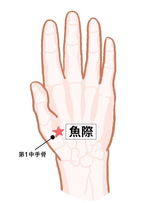 魚際（ぎょさい）：肺経のツボ
