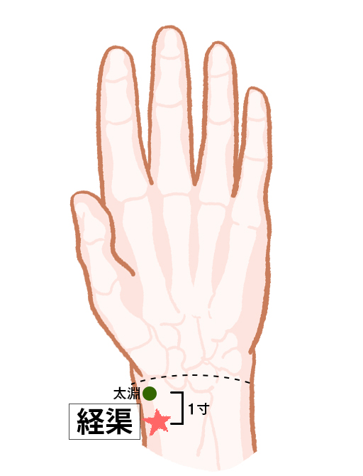 ツボ せきや喉の症状を軽減する「経渠」。手首の痛みや手のひらのほてりを