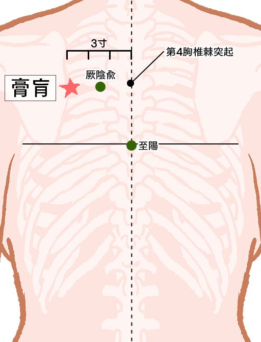 （こうこう）：膀胱経のツボ