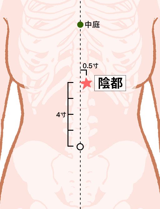 陰都（いんと）：腎経のツボ