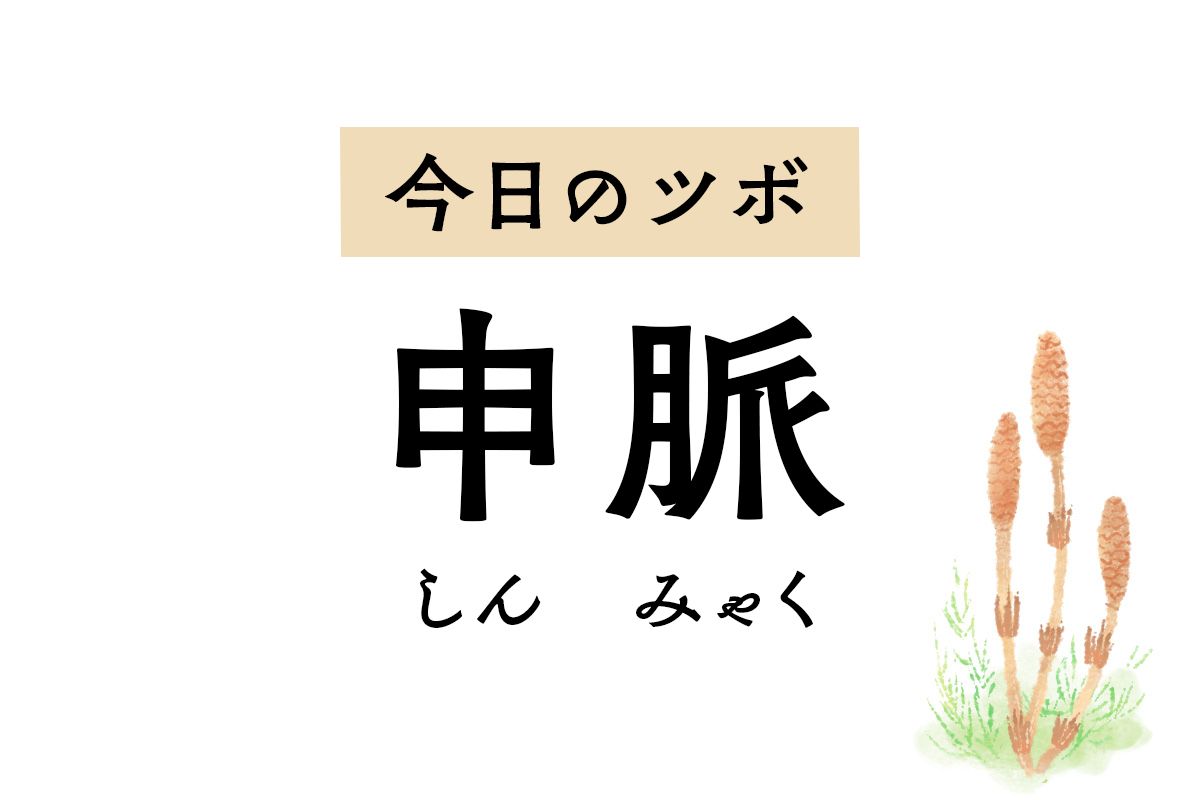 「申脈」が気持ちを落ち着かせて頭痛や不眠を改善。腰痛や関節の痛みも和らげます