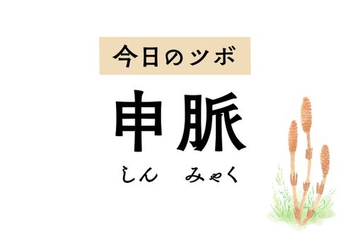 「申脈」が気持ちを落ち着かせて頭痛や不眠を改善。腰痛や関節の痛みも和らげます