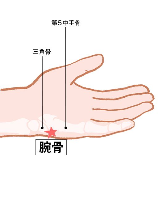 腕骨（わんこつ）：小腸経のツボ