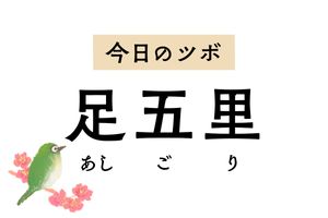 排尿やおりもの、外陰部の異常に用いる「足五里」。男女ともに生殖器のトラブルを緩和