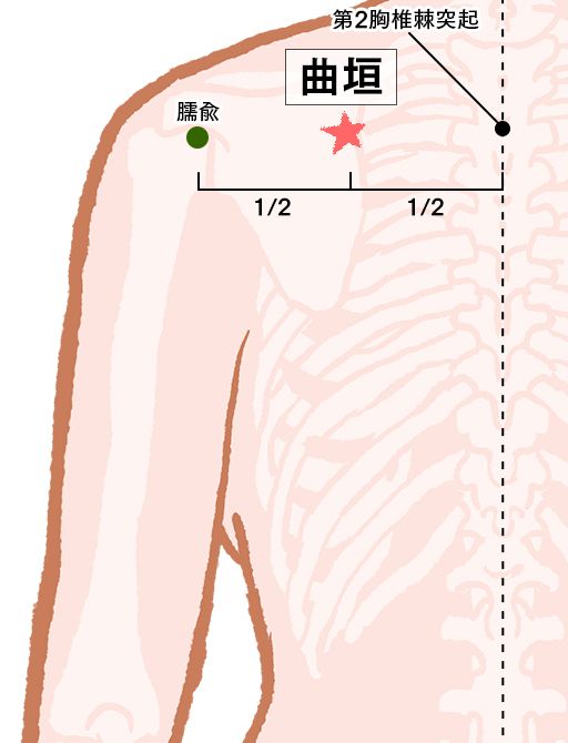 曲垣（きょくえん）：小腸経のツボ
