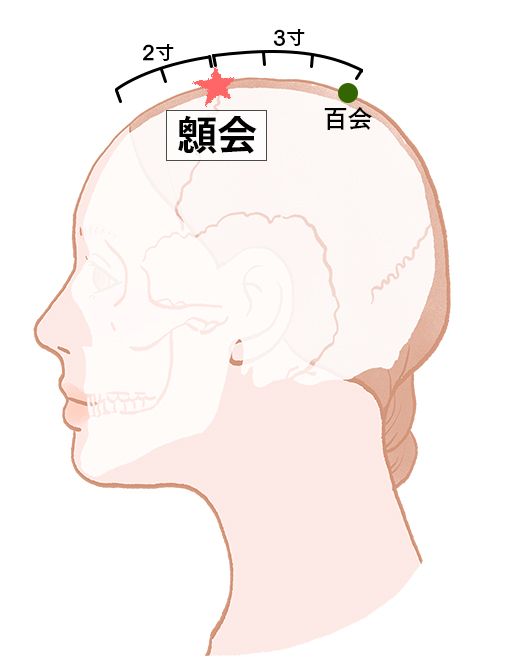 顖会（しんえ）：督脈のツボ