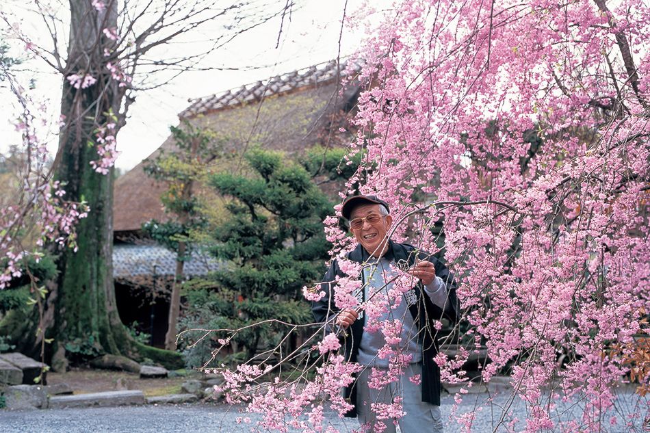 伝え継ぎたい桜絶景。追悼 第16代 桜守・佐野藤右衛門さんの功績