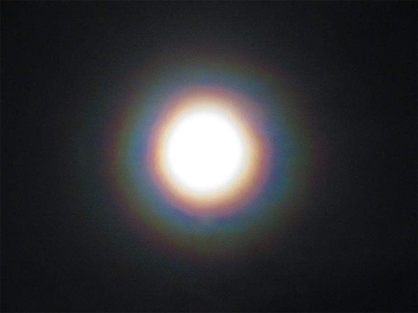 写真／荒木健太郎