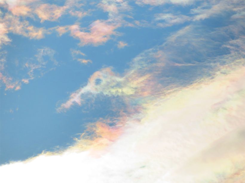 写真／荒木健太郎