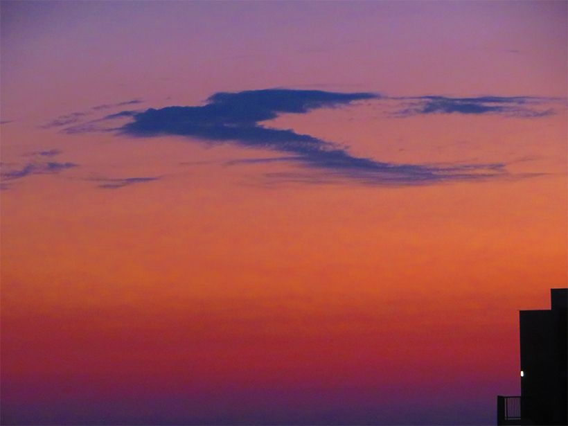 写真／荒木健太郎