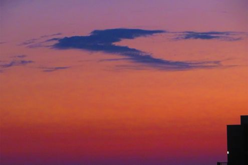 「春はあけぼの」とはどんな空？ 千年前に思いを馳せて空を見上げる