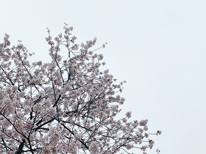 写真／荒木健太郎