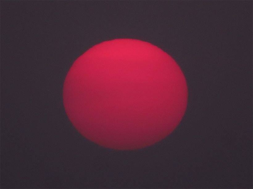 写真／荒木健太郎