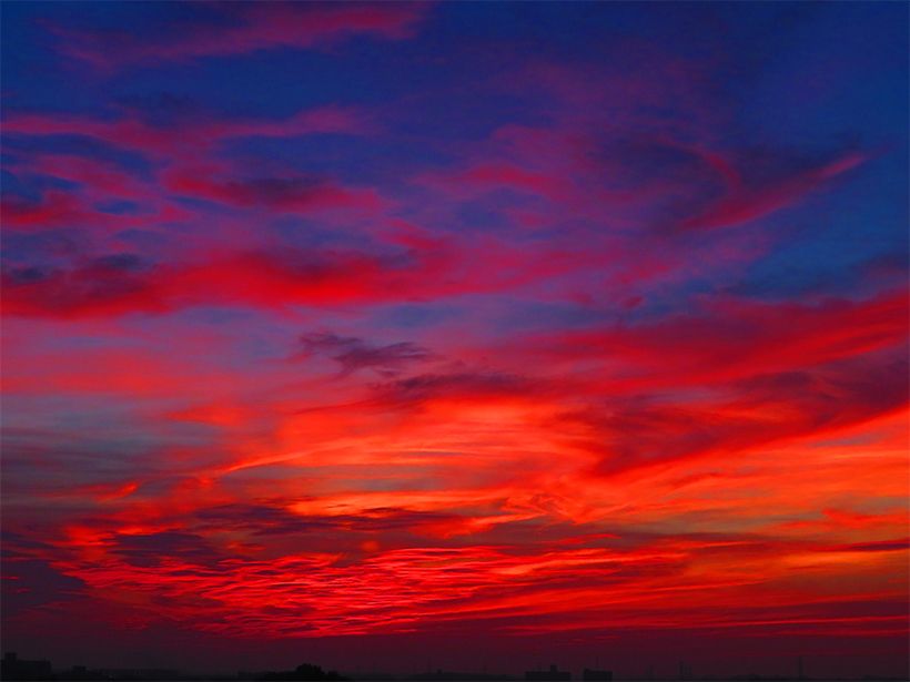 写真／荒木健太郎
