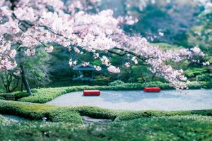 400年以上続く日本庭園散策と新生レストランの石窯料理を。オールデイ ダイニング フウド（白金台・八芳園）