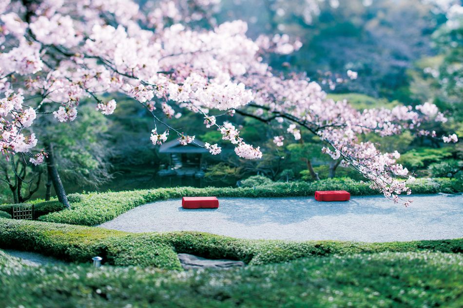 400年以上続く日本庭園散策と新生レストランの石窯料理を。オールデイ ダイニング フウド（白金台・八芳園）