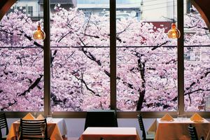 目黒川の桜を満喫できる中目黒のイタリアン、ウニート。桜シーズン用の席予約も可能