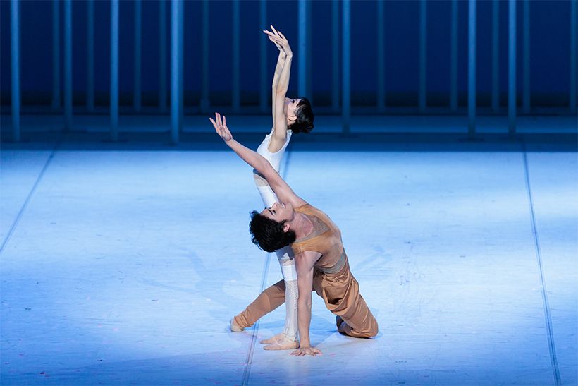 Photo Shoko Matsuhashi