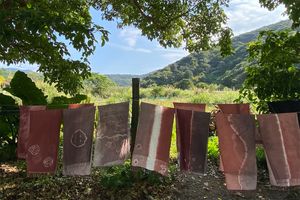 大島紬の故郷を訪ねる旅へ【後編】 染めと織り──大地の恵みと職人技を体感するワークショップ