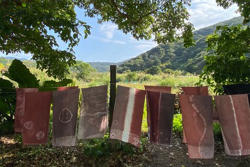 大島紬の故郷を訪ねる旅へ【後編】 染めと織り──大地の恵みと職人技を体感するワークショップ