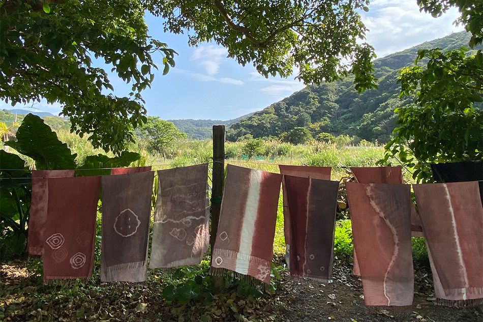 大島紬の故郷を訪ねる旅へ【後編】 染めと織り──大地の恵みと職人技を体感するワークショップ