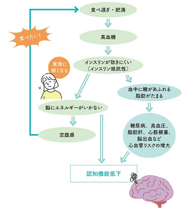 ストレスなどの要因から過食に走ると高血糖が続き、やがてインスリンが効きにくくなる。すると脳に十分なエネルギーがいかないため空腹感をおぼえてさらに食べすぎる悪循環に。その一方で心血管疾患のリスクが増大し、認知機能の低下を招く。