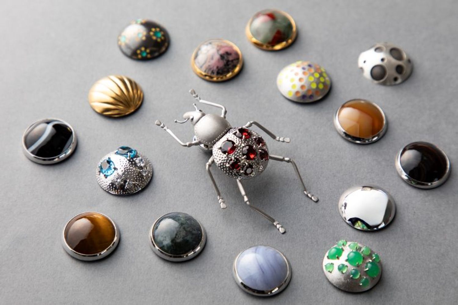 卒業生、鶴見 蓮さんの作品「ゾウムシ」。