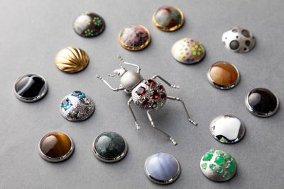 卒業生、鶴見 蓮さんの作品「ゾウムシ」。