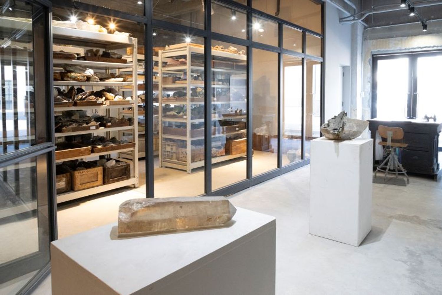 ギャラリー画像